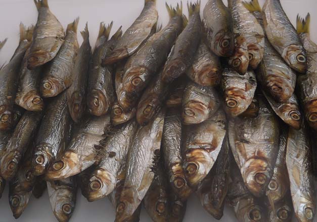 smoked sprats white lion aldeburgh smoked sprats white lion aldeburgh