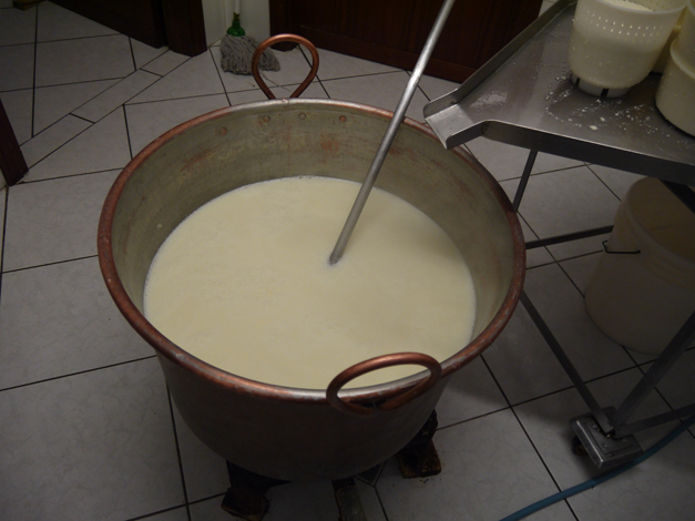heating milk and whey for ricotta heating milk and whey for ricotta