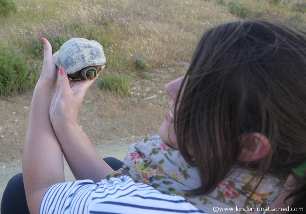 jennie with tortoise 2 jennie with tortoise 2