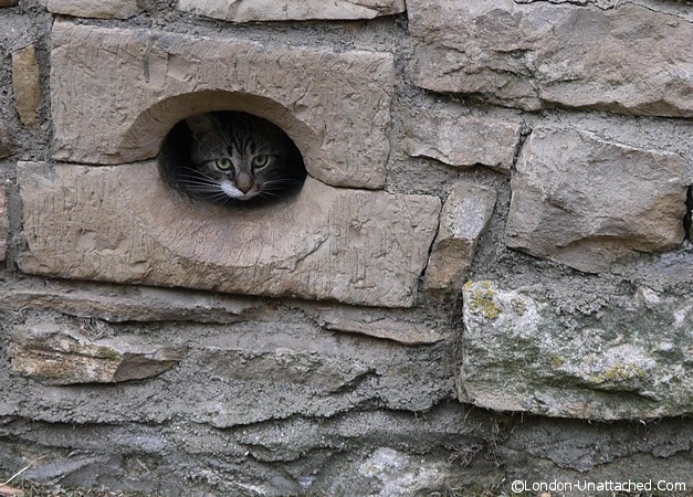 Cat Flap (ancient)
