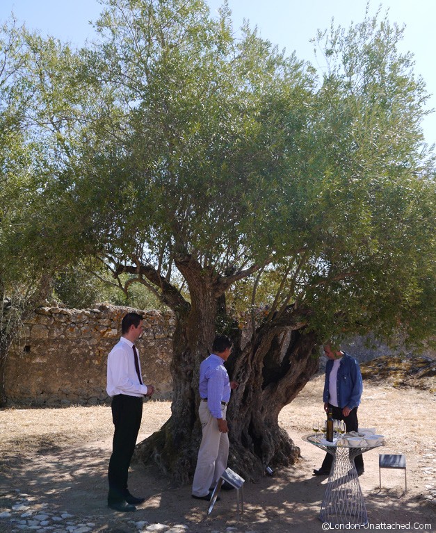 Convento - Old Olive Tree Convento - Old Olive Tree