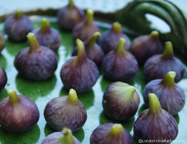 Figs Chateau de mandagout Figs Chateau de mandagout