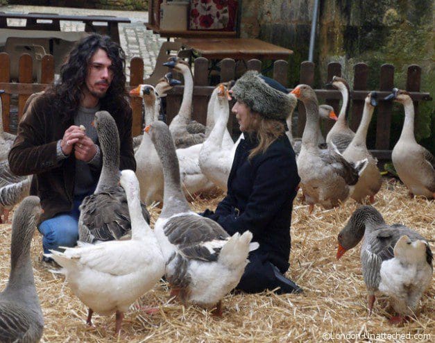 Fest'Oie - I talk to the birds