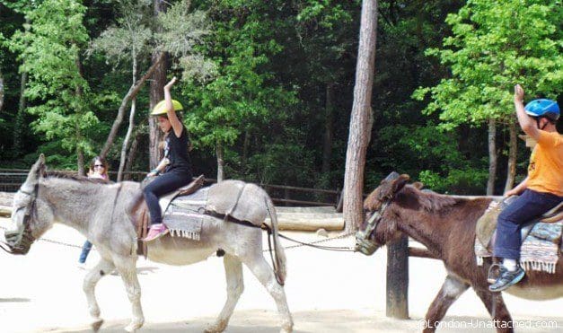 Barcelona Molt Mes - donkeys 2 Barcelona Molt Mes - donkeys 2