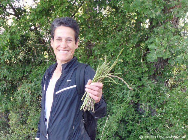 Barcelona Molt Mes - wild Asparagus Barcelona Molt Mes - wild Asparagus