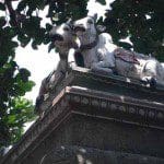 sacred cows chennai
