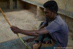 Sri Lanka River Boat Safari - cinnamon production 2