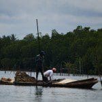 Sri Lanka River Boat Safari dredgers