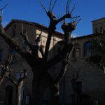Montefalco tasting rooms