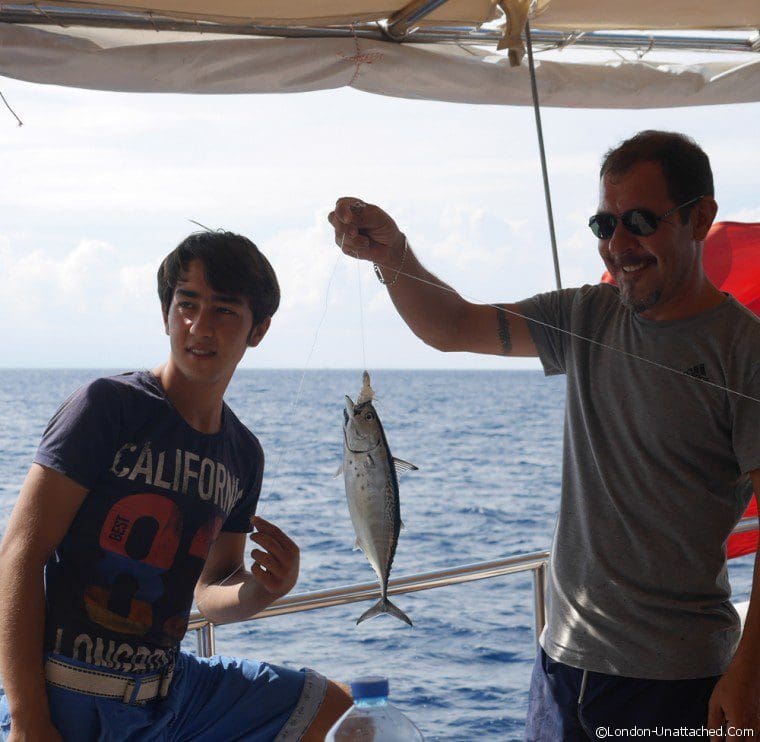 MDFV Catching Supper MDFV Catching Supper