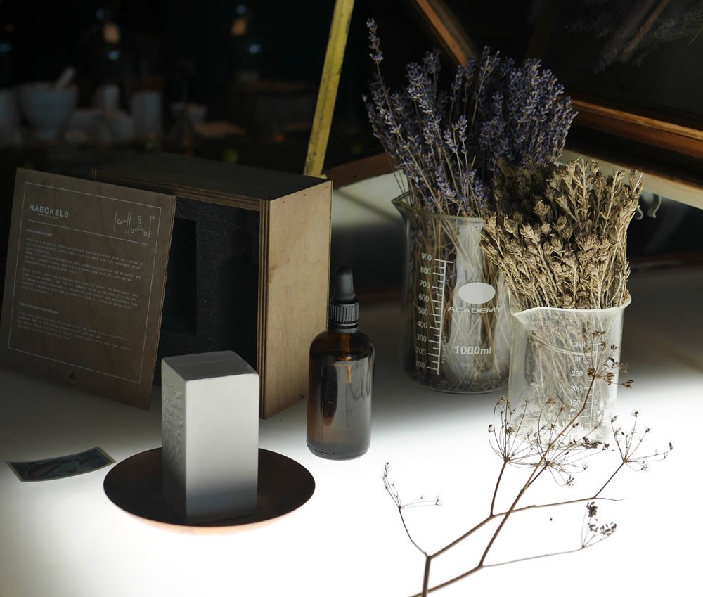 Margate Haeckels interior
