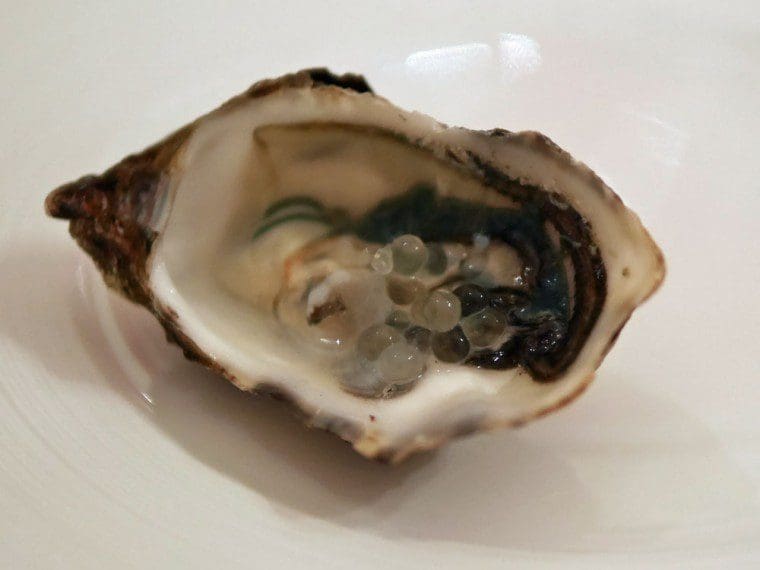 Mumm'oyster' Mumm'oyster'