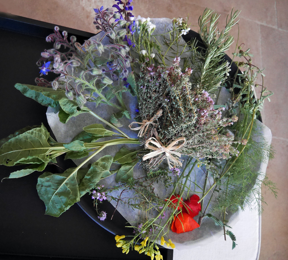 Benvengudo - Foraging