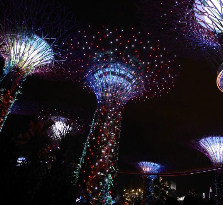 Singapore Supertrees 2