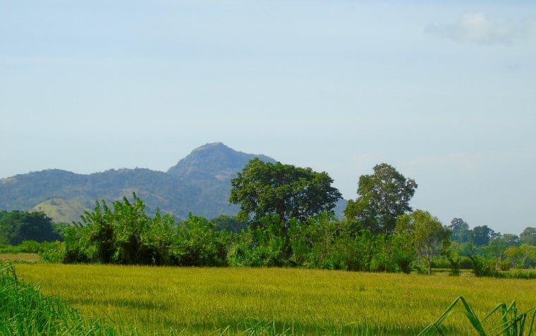 Wellaweya Sri Lanka