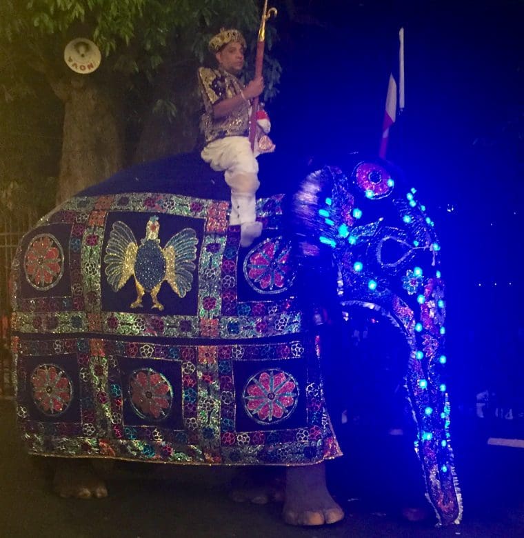 Esala Perahera - Kandy Sri Lanka