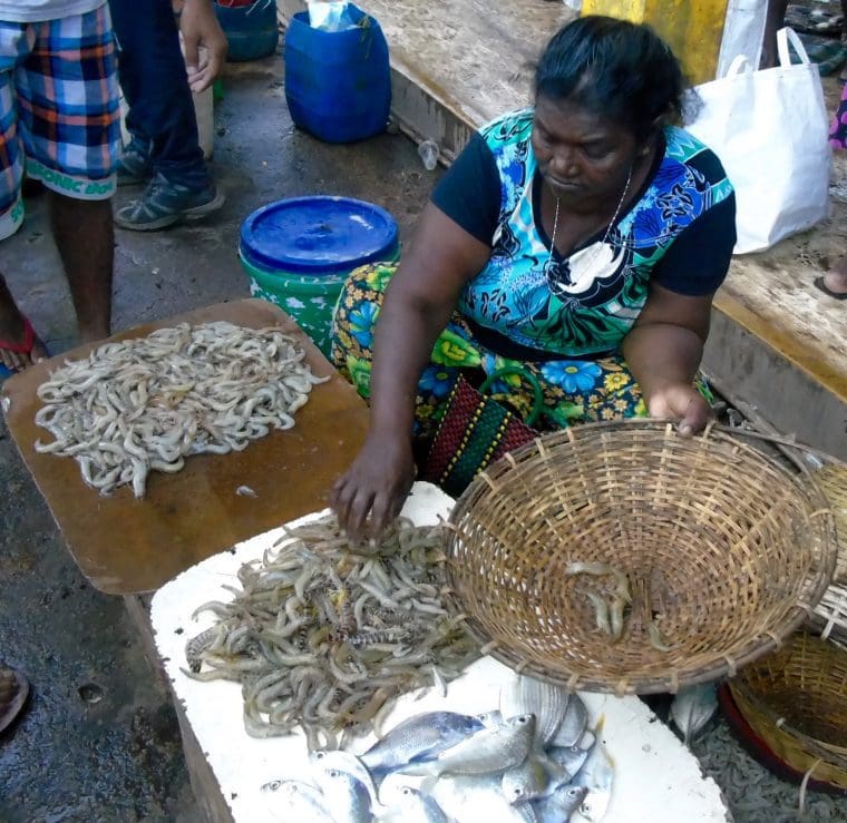 Negombo Fish Market Negombo Fish Market