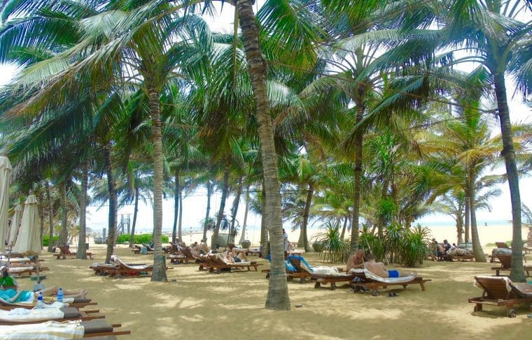 jetwingblue - Negombo, Sri Lanka jetwingblue - Negombo, Sri Lanka