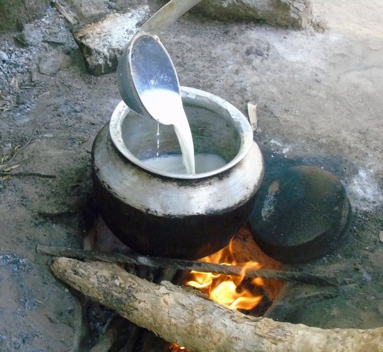 Buffalo Curd Sri Lanka
