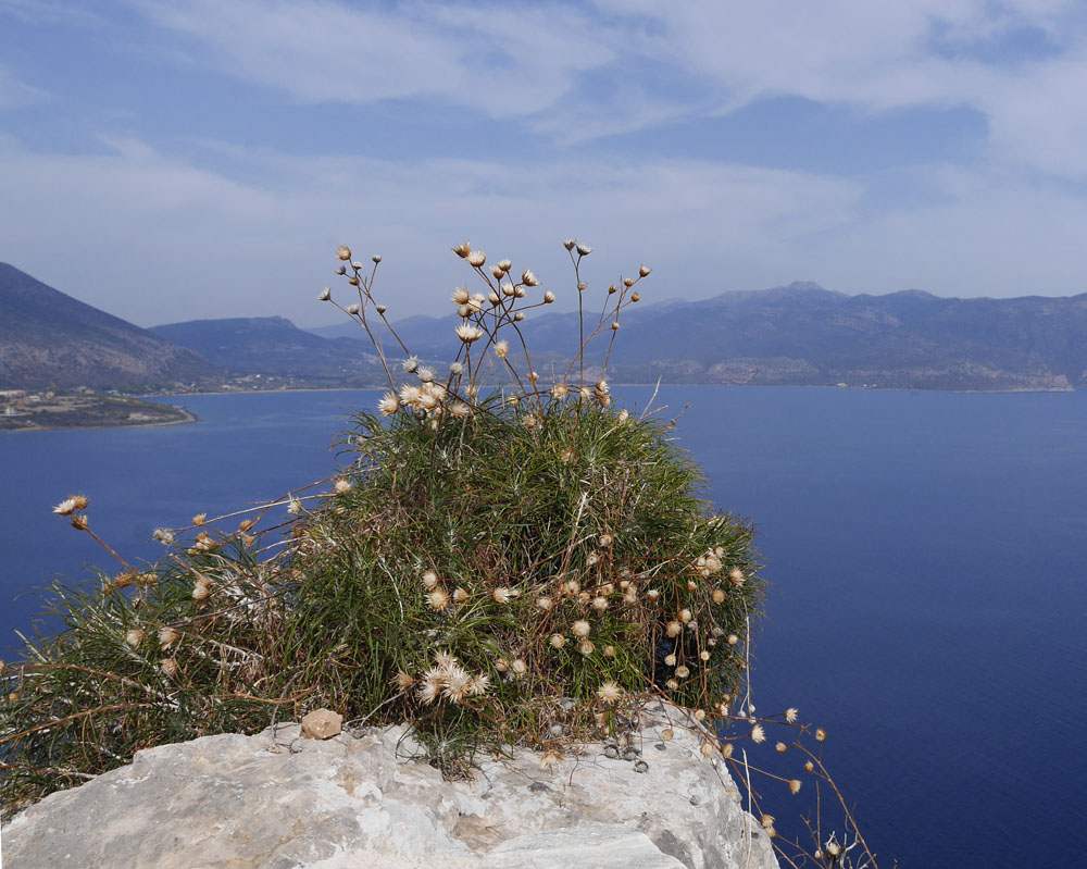 monemvasia-view-from-the-clifftop-copy