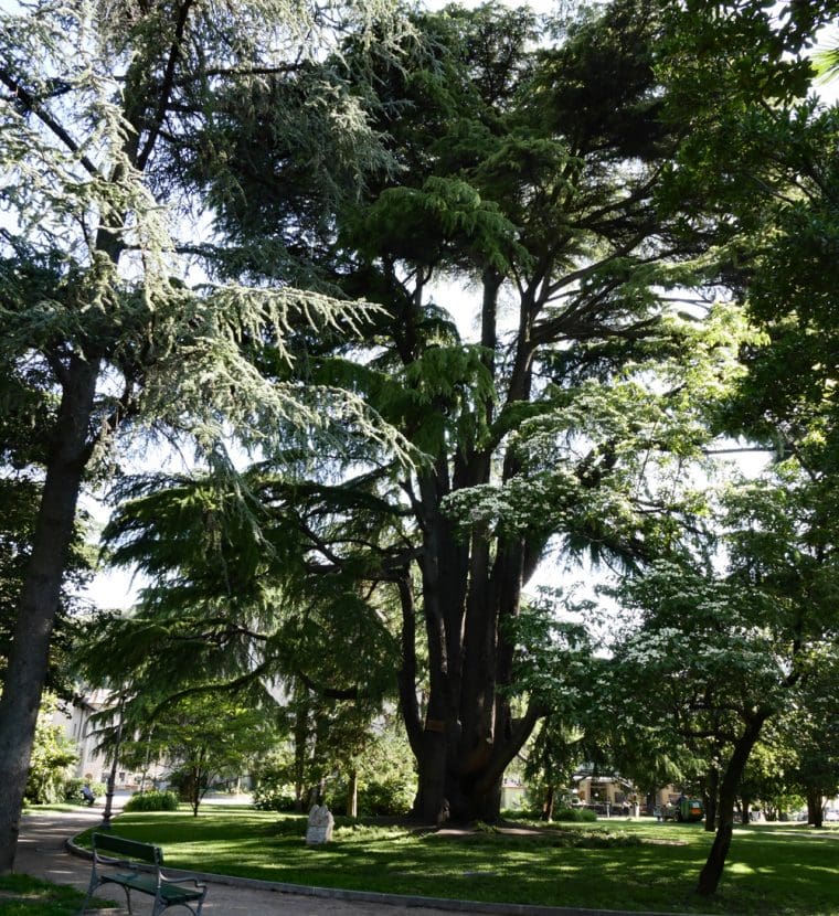 Arco Park Arco Park