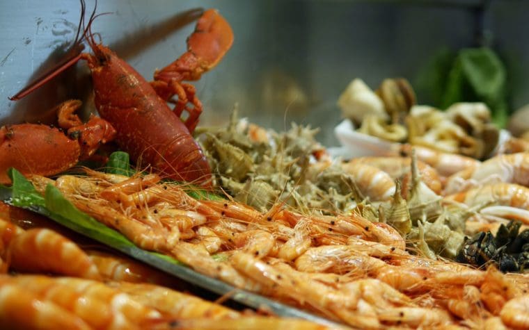 Shellfish - Os Lusiadas Shellfish Os Luisada