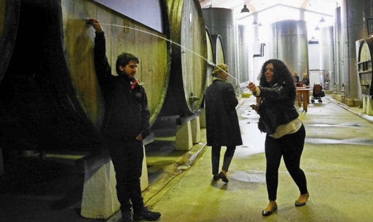 feature - Cider House San Sebastian