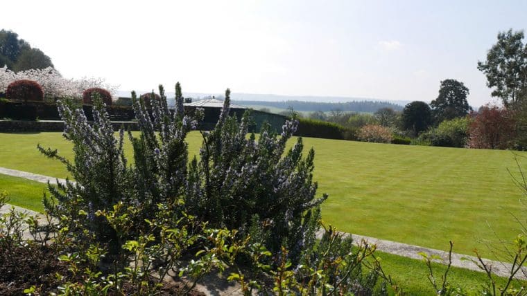 View Cowdray View Cowdray