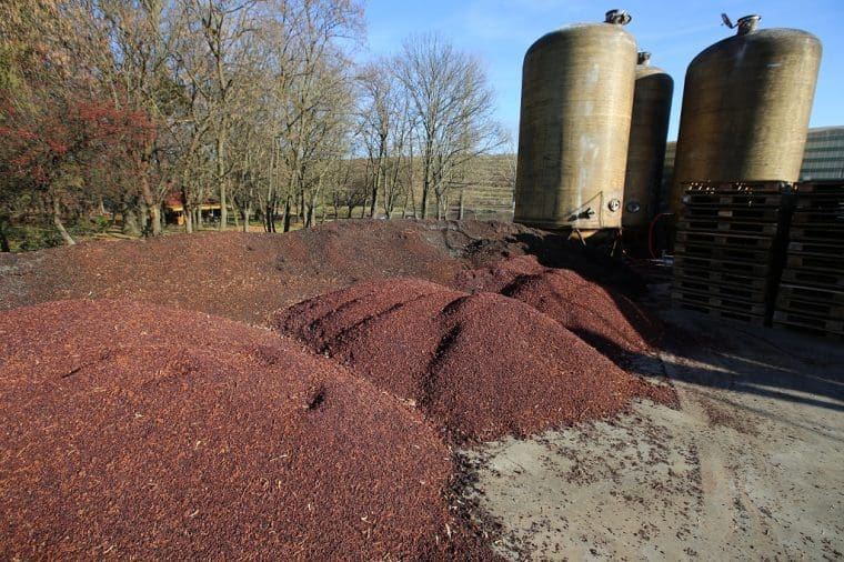 Cramele Recas Wine Skins