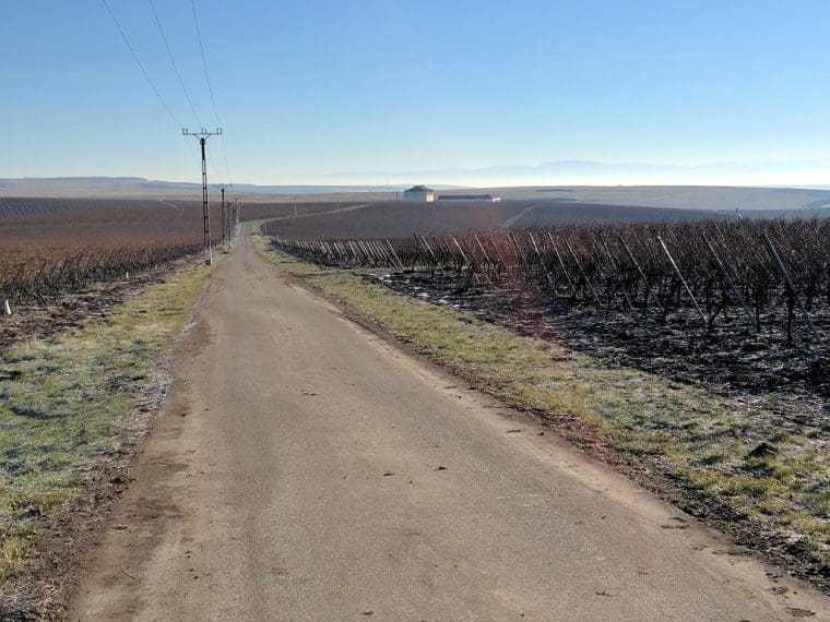 Romania Road To Cramele Recas