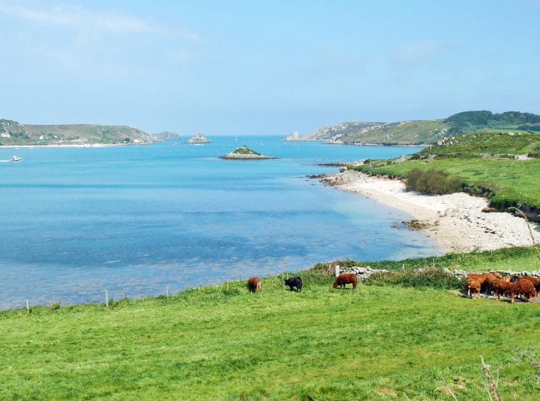 Tresco Beach 2 Tresco Beach