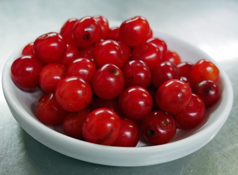 Tarn Wild Cherries Tarn Wild Cherries