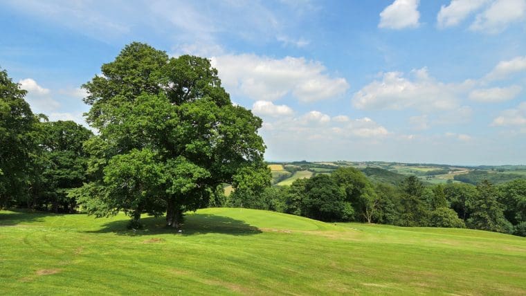 Highbullen Hotel and Lawns