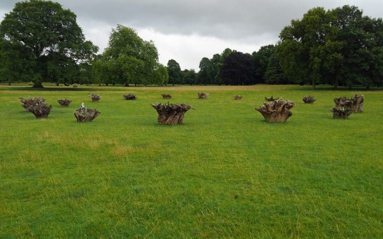 Houghton Hall Art 2