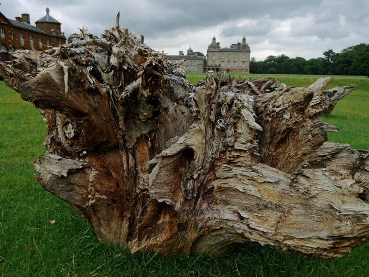 Houghton Hall Art 3