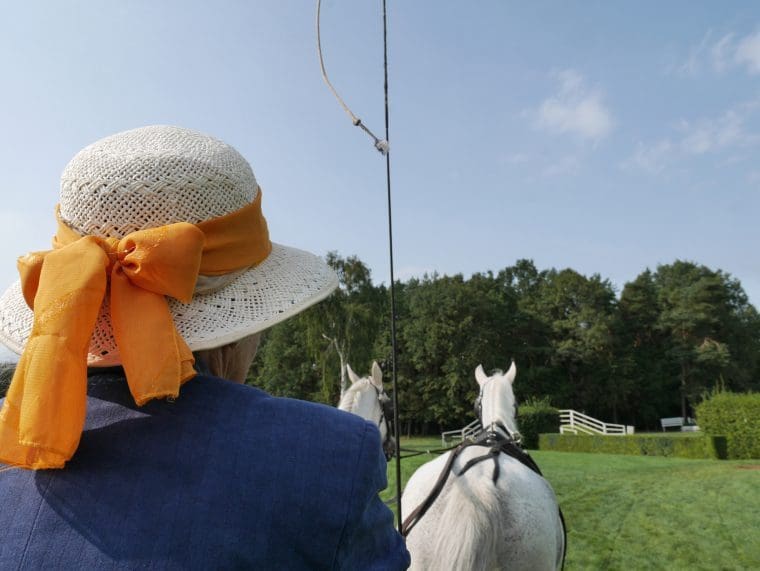Carriage Ride Pardubice Race Course