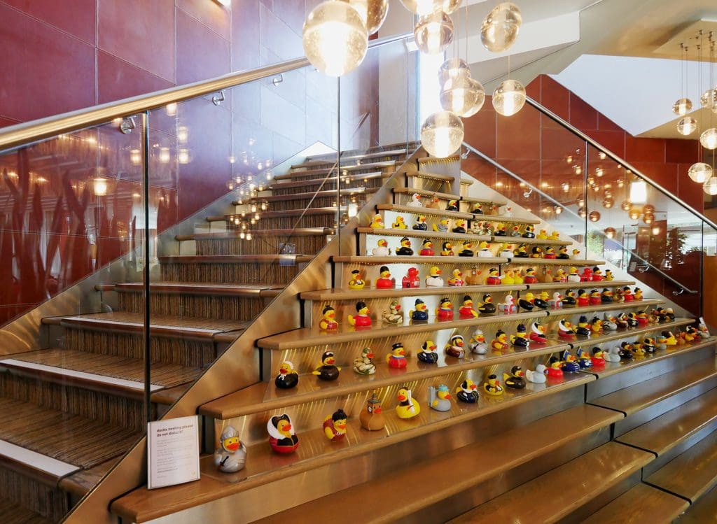 Ducks and Stairs - Runnymede Hotel