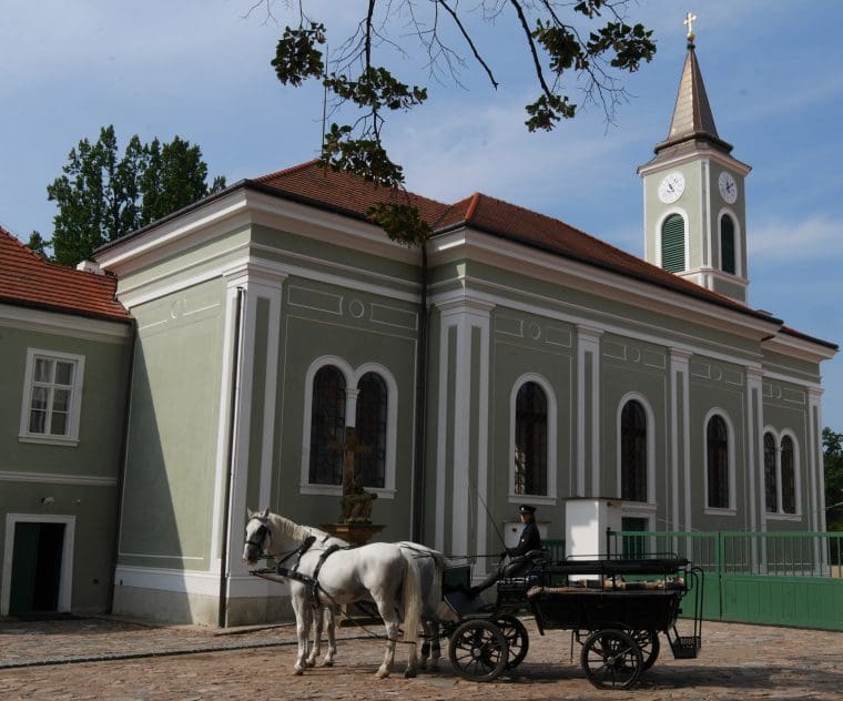 Horse and Carriage Kladruby