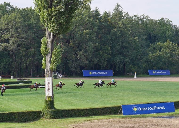 Pardubice Steeplechase