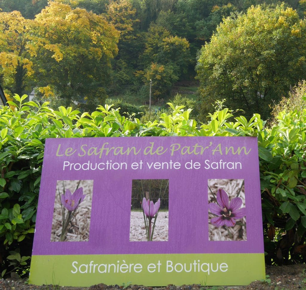 Saffron - Wallonia