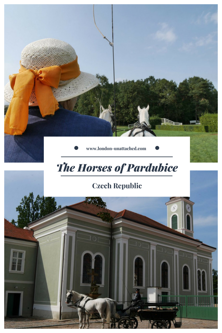 The horses of Pardubice, Czech Republic