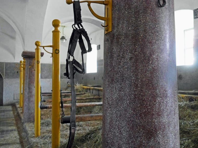 Traditional Open Stables