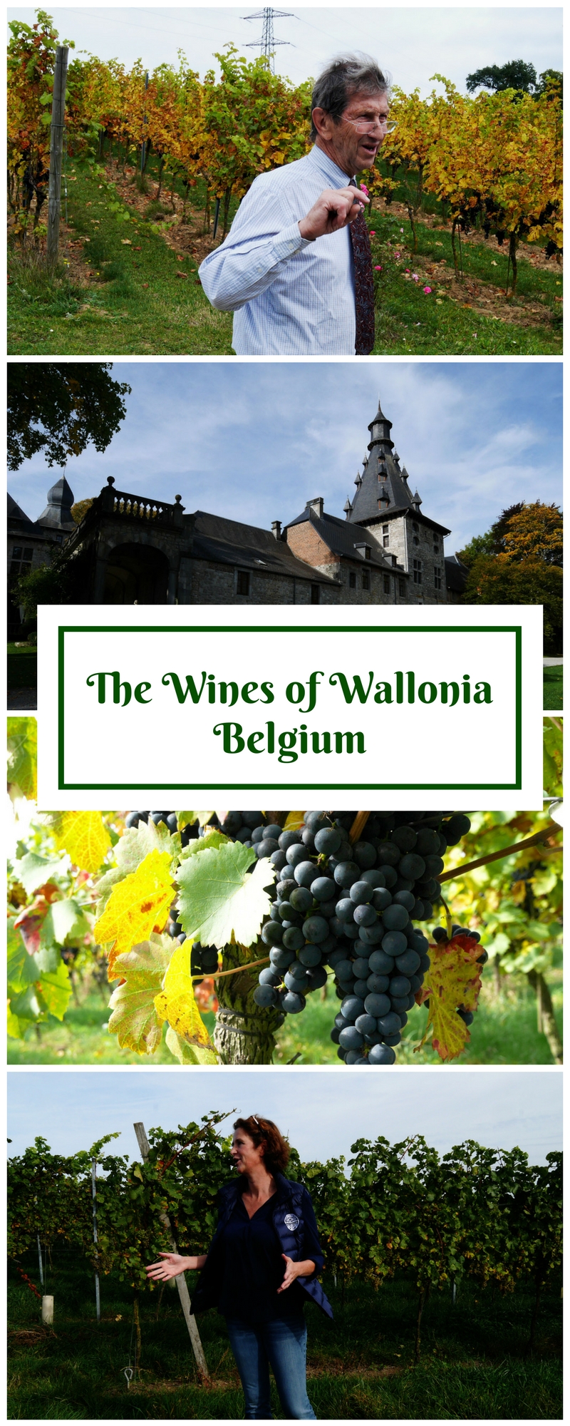 Wines of Wallonia Belgium Gastronomy and Wine in Wallonia Wines of Wallonia Belgium Gastronomy and Wine in Wallonia
