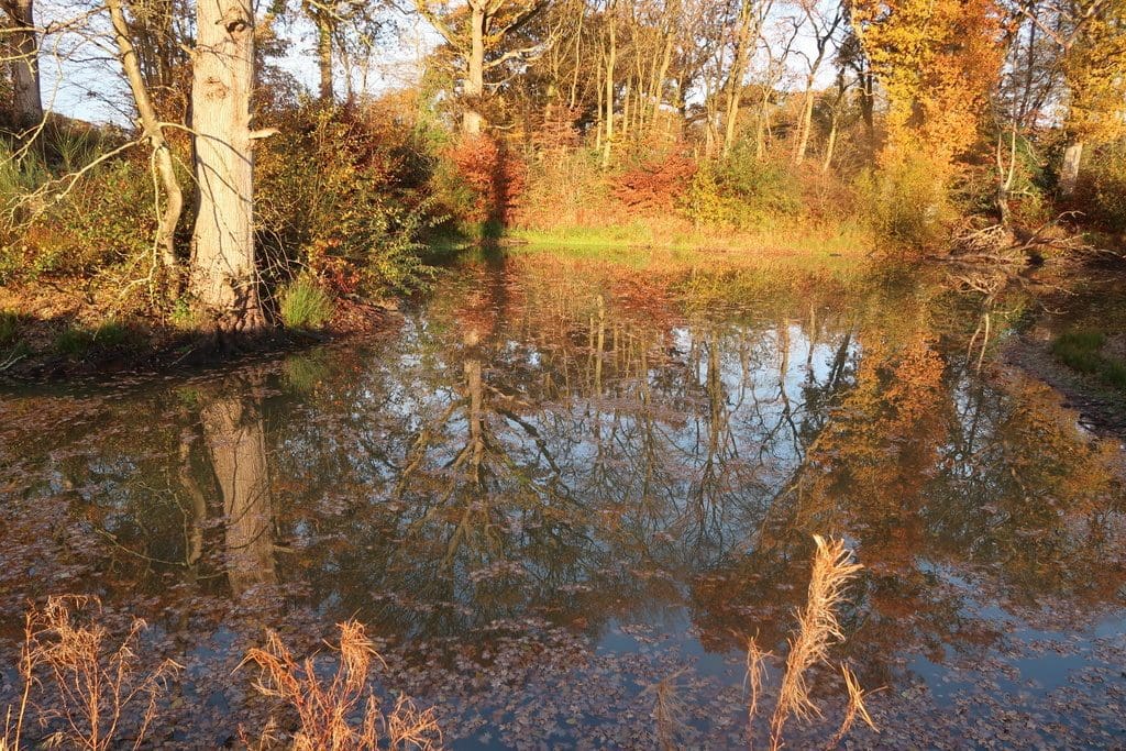 Autumn reflections - Autumn reflections