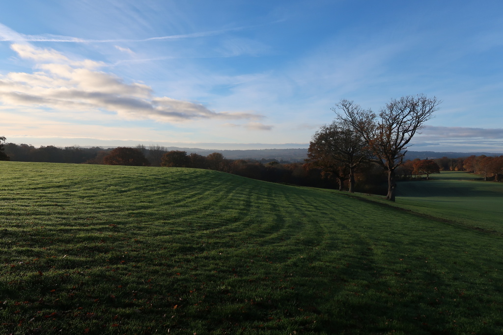 Morning landscape Adventure Yogi - Morning walk
