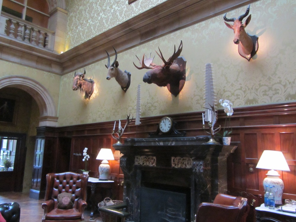 Stapleford Park - throphies Stapleford Park - hunting trophies