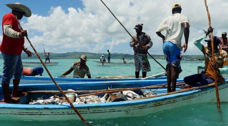 Rodrigues Fete du Poisson - Collecting the Catch