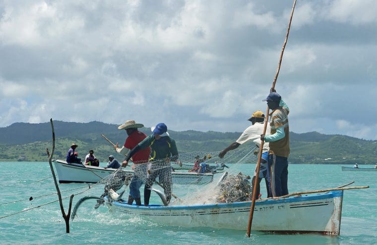 Rodrigues Fete du Poisson - Nets with fish