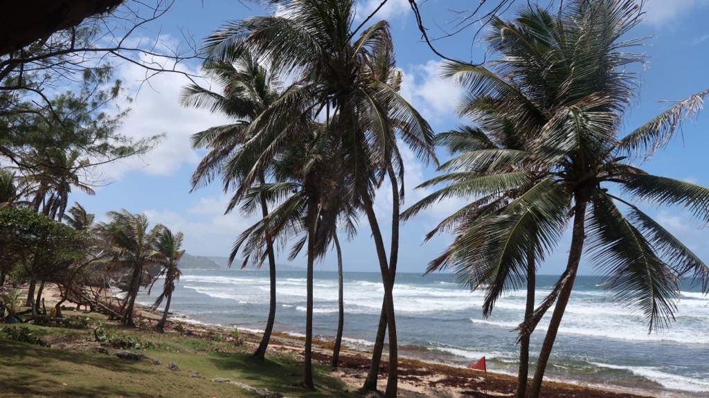 Barbados - Bathsheba
