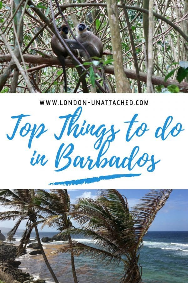 Barbados - Top things to do in Barbados